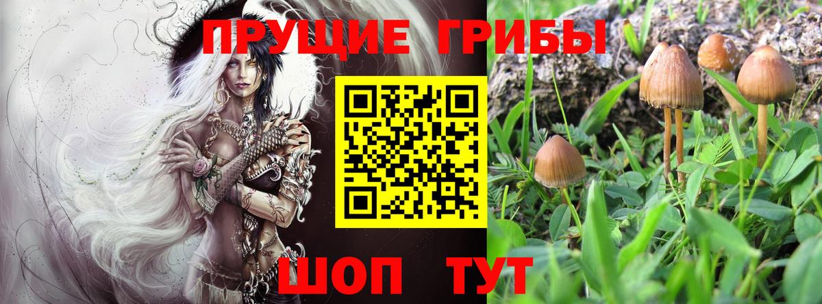 Галлюциногенные грибы ЛСД  Вход с VPN  Кинешма 