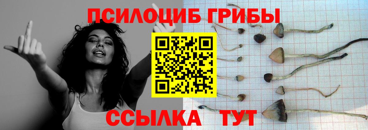 Галлюциногенные грибы ЛСД Кинешма